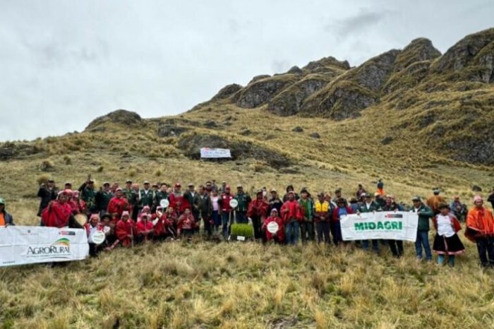 Gobierno pone en marcha plantaciones forestales para la campaña 2025–2026