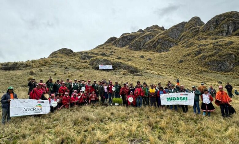 Gobierno pone en marcha plantaciones forestales para la campaña 2025–2026